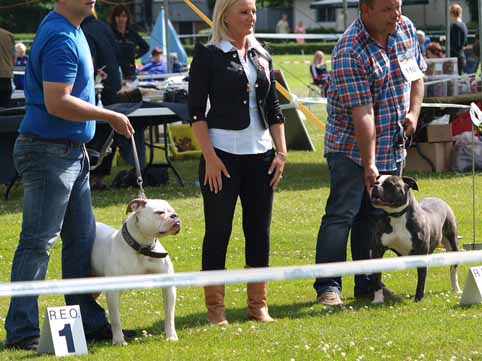 Zomershow 15 juni 2013 